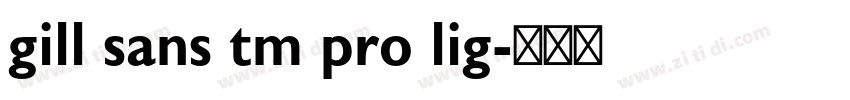 gill sans tm pro lig字体转换